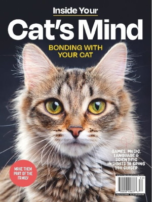 cat mind mag cover link